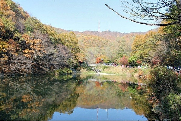 uploaded_68e5fd677acc1.jpg